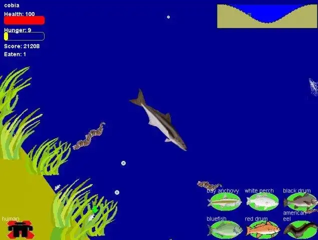 Download web tool or web app A Day in the Bay Download web tool or web app A Day in the Bay