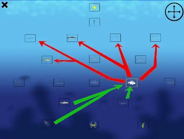 Download web tool or web app A Day in the Bay Download web tool or web app A Day in the Bay