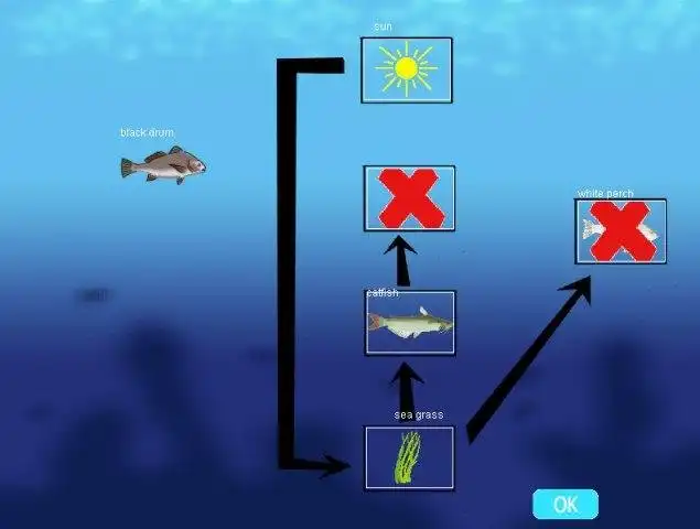 Download web tool or web app A Day in the Bay Download web tool or web app A Day in the Bay