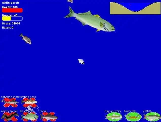 Download web tool or web app A Day in the Bay Download web tool or web app A Day in the Bay