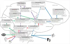 Download web tool or web app aseryla Download web tool or web app aseryla