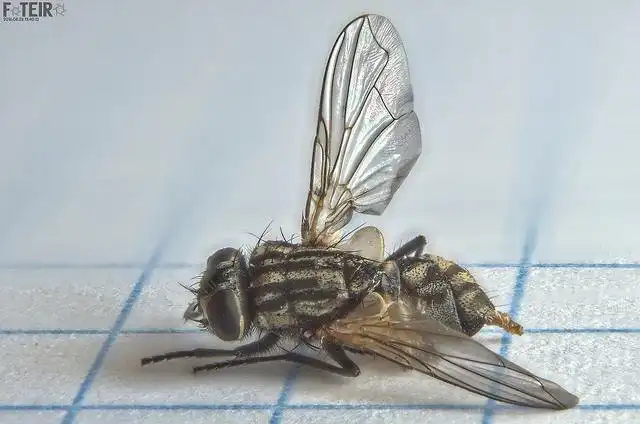 Download web tool or web app digiCamControl Download web tool or web app digiCamControl