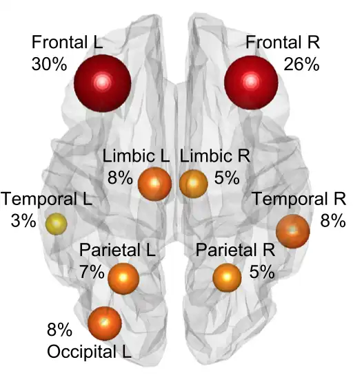 Download web tool or web app Flexible Brain Graph Visualizer Download web tool or web app Flexible Brain Graph Visualizer