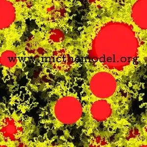 Download web tool or web app Mic the model Download web tool or web app Mic the model